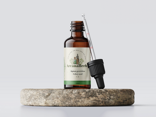 Celery Seed tincture, Apium graveolens. 1:3. 100ml. Clinical grade, Herbalist crafted.
